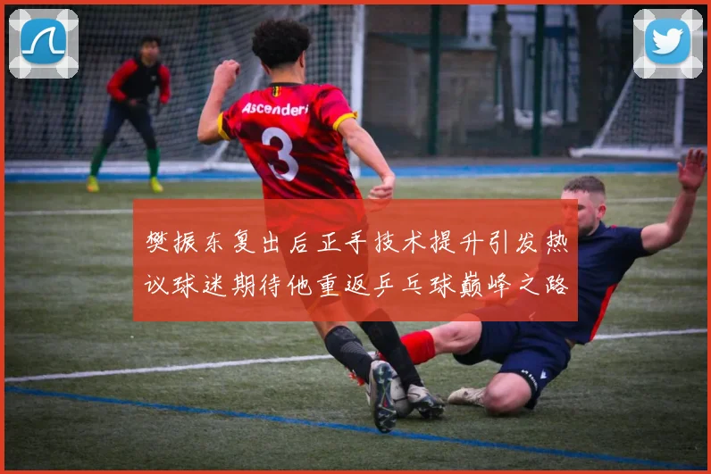 樊振东复出后正手技术提升引发热议球迷期待他重返乒乓球巅峰之路